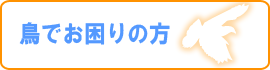 鳥でお困りの方