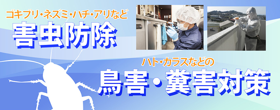 PR画像1