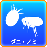 ダニノミ