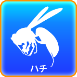 ハチ