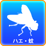 ハエ蚊